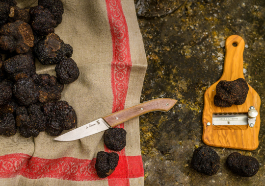 récolte de truffes noires de Touraine & dégustation