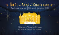 Christmas in the land of chateaux - Azay-le-Rideau, France.