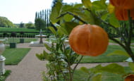 4. Orangers et Grands Parterres - 4