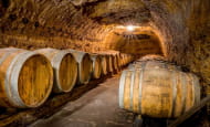 Domaine Nicolas Paget - Wine cellar - Rivarennes, France.