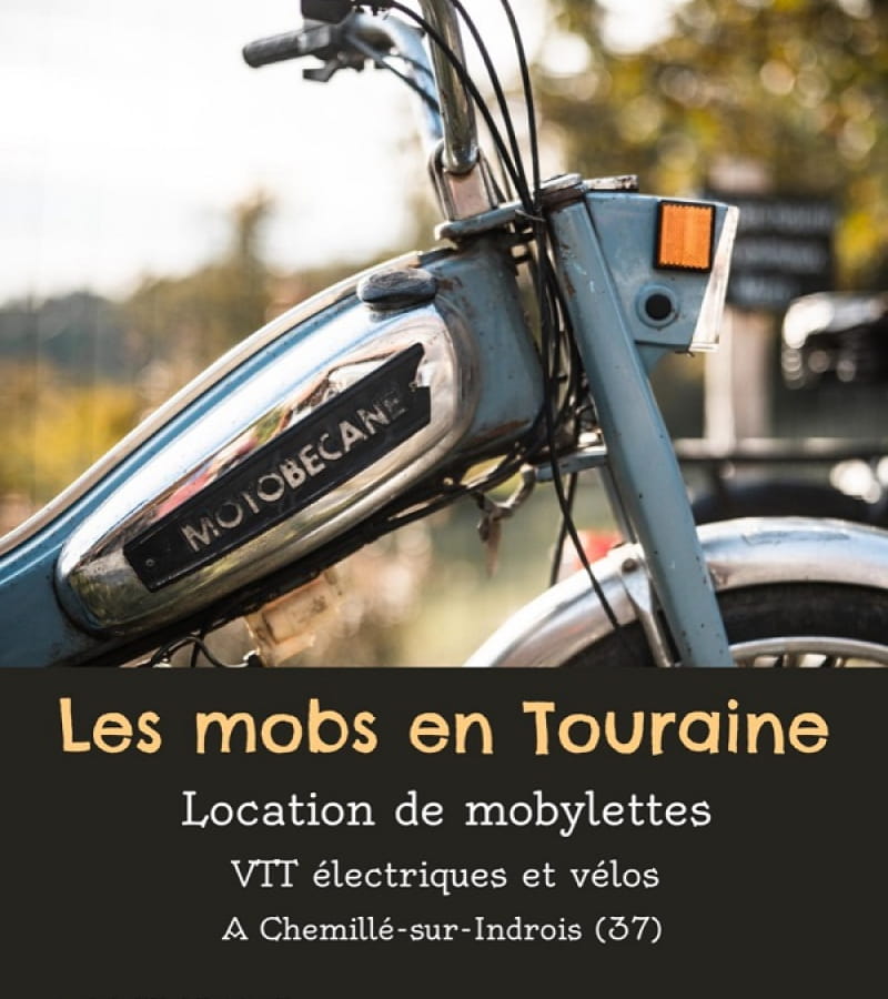 Mobs en Touraine - Chemillé-sur-Indrois