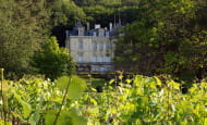 Chinon - Viticuleur - Chateau-de-vaugaudry site web