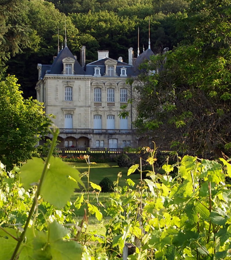 Chinon - Viticuleur - Chateau-de-vaugaudry site web
