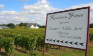 Rousseau Frères vineyard - Esvres-sur-Indre, Loire Valley, France.