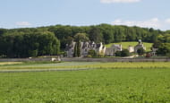 Château de Vauguyon - Chinon