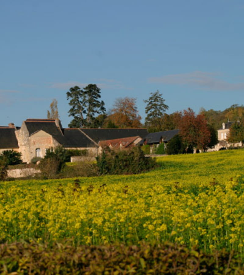 Maison de Pays et visite des extérieurs de l'Abbaye de Seuilly